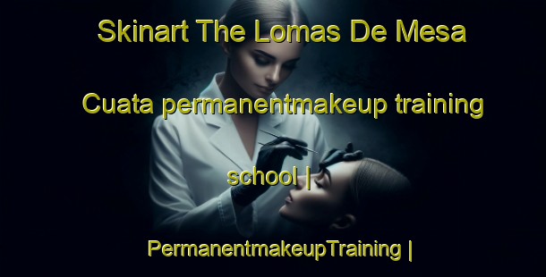 Skinart The Lomas De Mesa Cuata permanentmakeup training school | PermanentmakeupTraining | PermanentmakeupClasses | SkinartTraining-Mexico